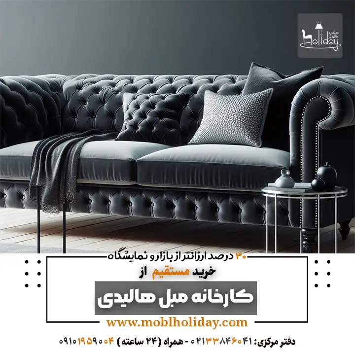Chester Black and gray sofa