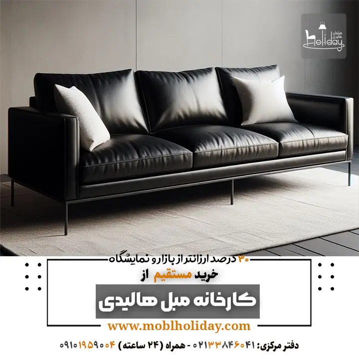 leather minimal sofa Black and white